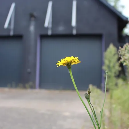 Waldtraum Wendland Küsten