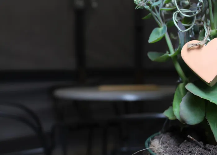 Waldtraum Wendland アパート Küsten