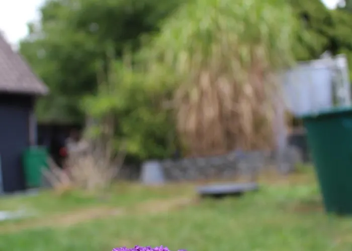 アパート Waldtraum Wendland Küsten