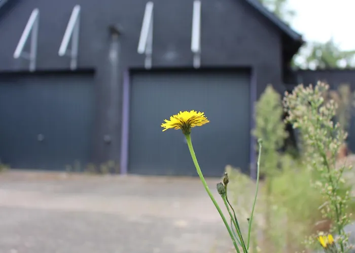 Waldtraum Wendland Küsten