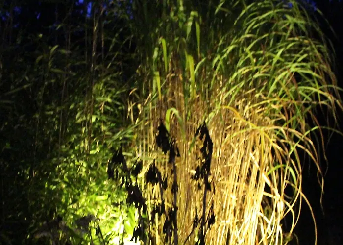 アパート Waldtraum Wendland Küsten